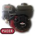 Мотопомпа Pacer SE2YL-E550 Мотопомпа Pacer SE2YL-E550